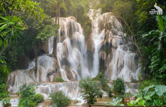 Northern Laos Travel: A Comprehensive Guide To Exploring The Region