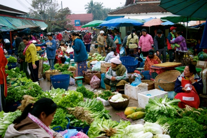 What can you discover in an agritourism market in Laos?