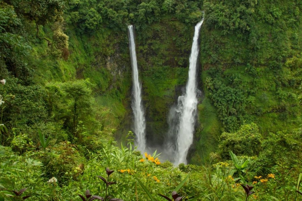 Visit the Bolaven Plateau