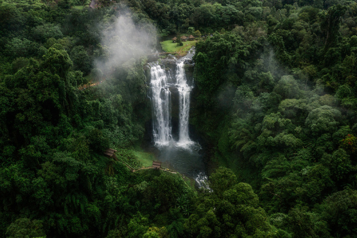 Bolaven plateau laos- things to do in Champasak Laos