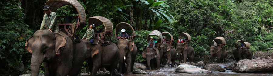 2 weeks in Luang Prabang made me fall even more in love with the Land of a Million Elephants