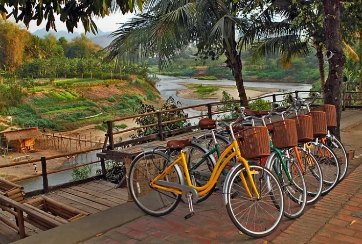 Bicycles -  Eco-Friendly and Flexible Exploration