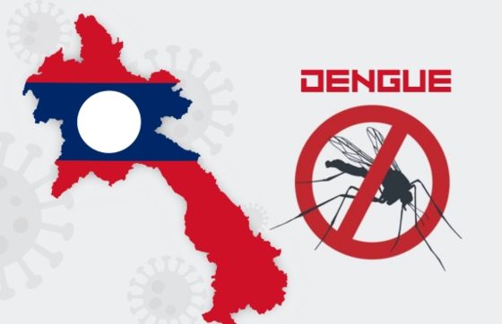 Mosquito Risk In Laos - How To Avoid Dengue Fever ?