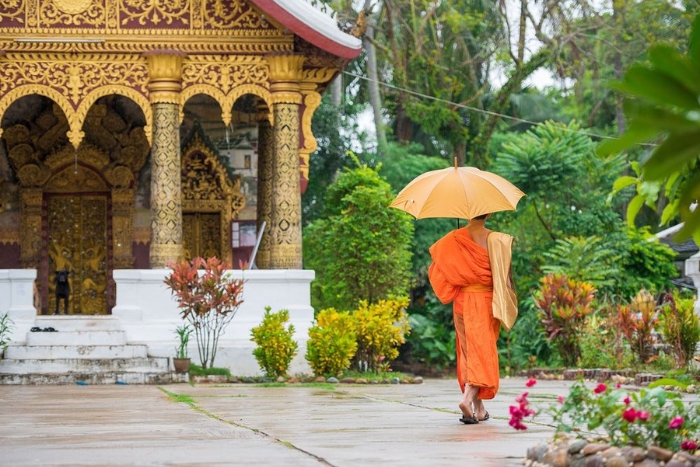 Rainy season in Laos and mosquito breeding conditions