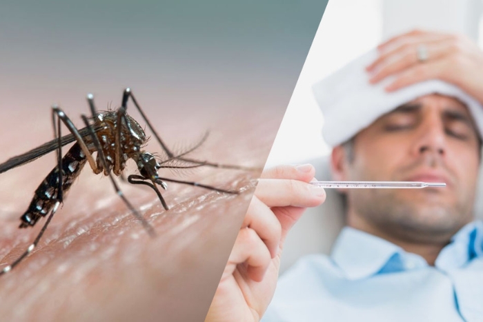 Recognizing dengue fever symptoms during your trip to Laos