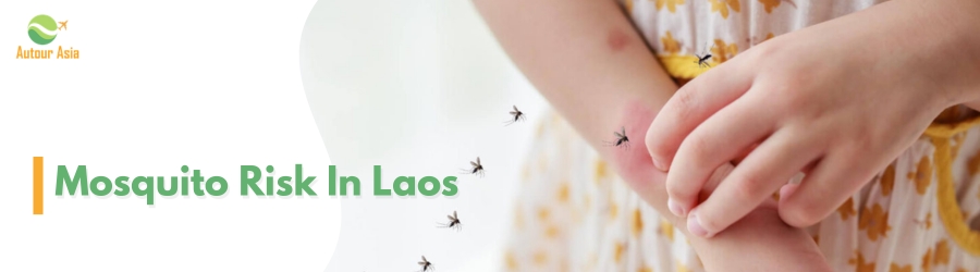 Mosquito risk in Laos - how to avoid dengue fever ?
