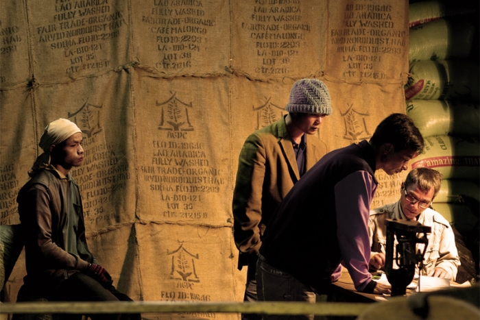 CPC coffee plantation, Bolaven Plateau, Pakse