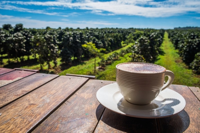 Bolaven Coffee, Pakse, Laos