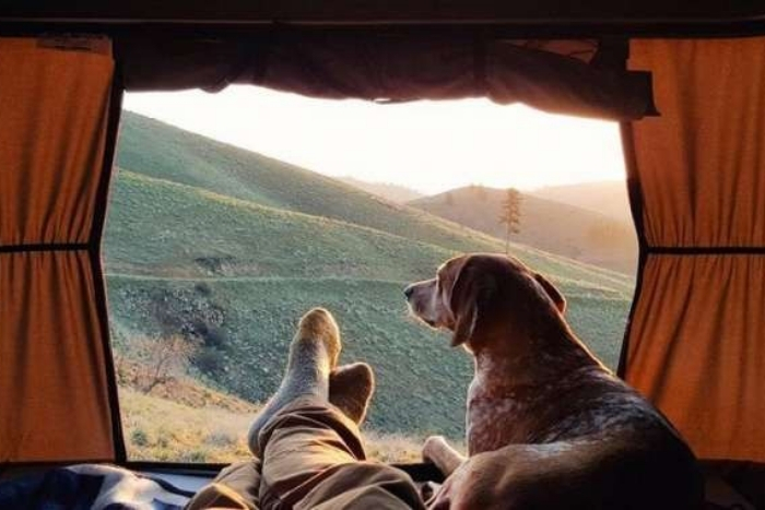 Traveling to Laos with a dog tips