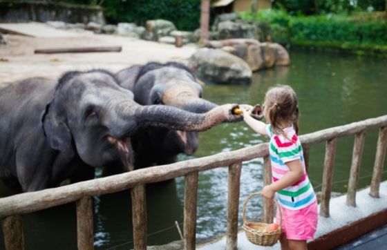 Advices For A Family Trip In Laos On A Budget