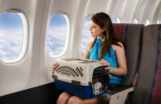 Complete Guide To Traveling To Laos With Pet