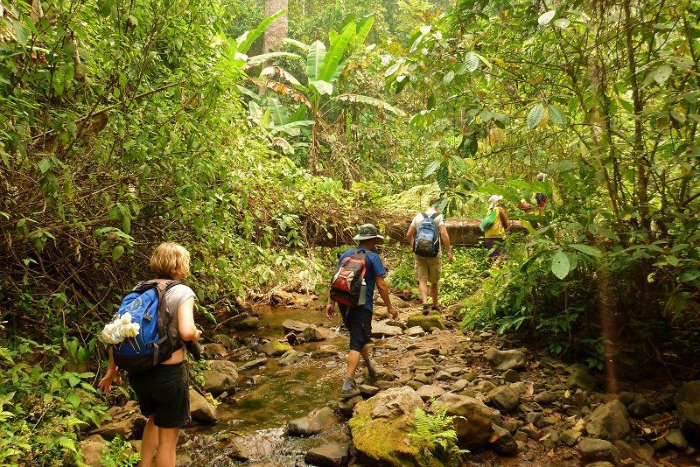 Where To Trek In Laos? Top Best Trekking Routes In Laos And Hiking Tips
