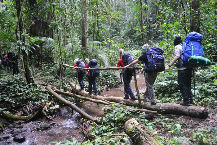 Trekking in the primary forest of Luang Namtha