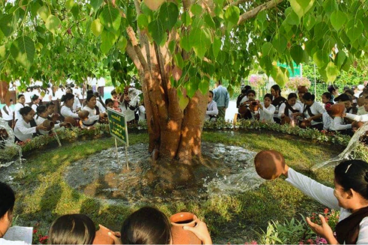 What to do in Myanamr in May? Discover the Bodhi Tree Watering Festival