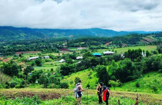 Where To Find The Best Agency For Thailand Farm Tours?