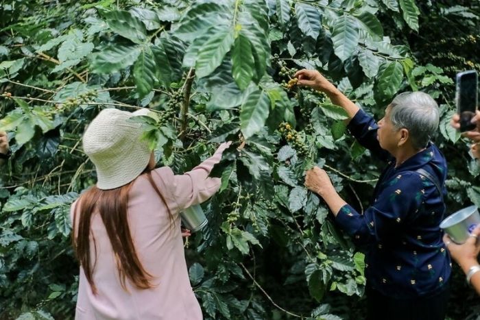 Asian Trails offers an immersive rural experience in Rayong