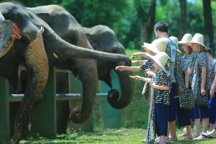 Be kind to animals during your visit!