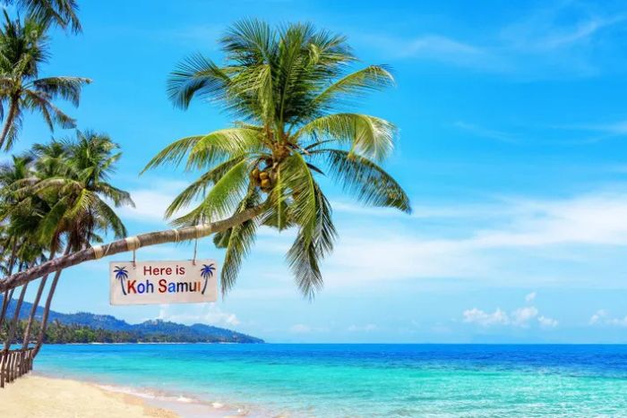 Palm-fringed beaches of Koh Samui