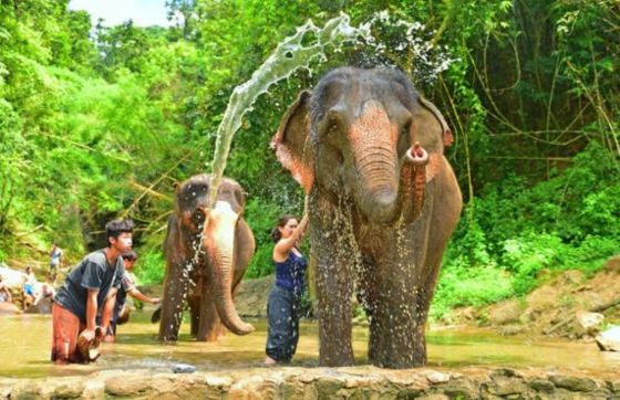 What To Do In Thailand? Review 10 Days In Thailand From Mr Dupont