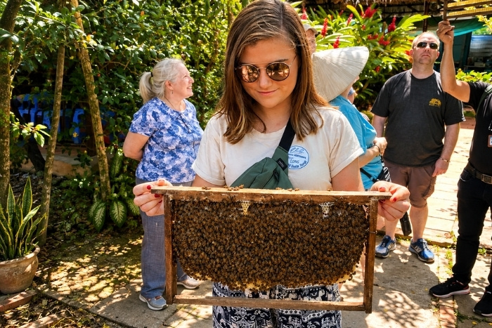 Discovering traditional honey-making in My Tho