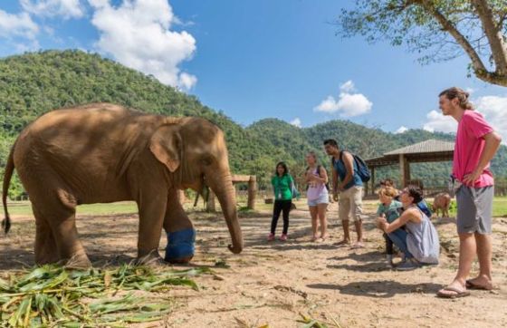Reflection Of The Best Thailand 15 Days Tour By The Simon Family