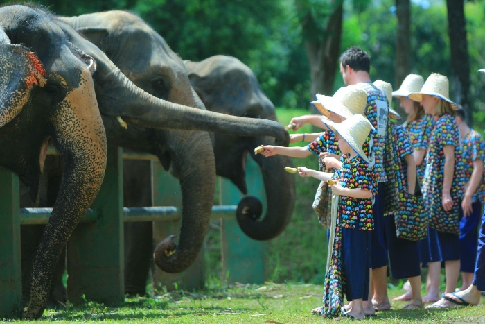 Kanta Elephant Sanctuary, ethical adventures with elephants