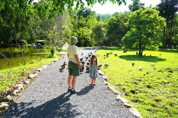 Going for walks