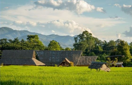 Reflection On 2 Weeks In Northern Thailand With Mr. Bunch