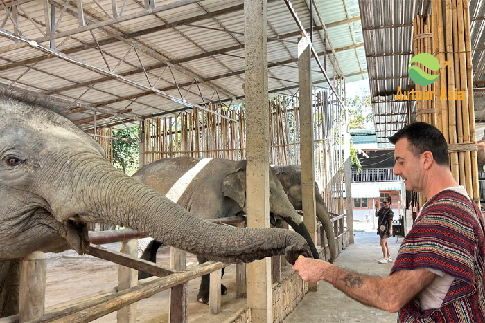 How Much Does a 2-Week Trip to Thailand Cost for a Family of 4?