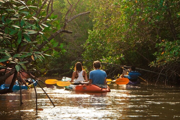 Kayak through the mangrove of Tung Yee Peng