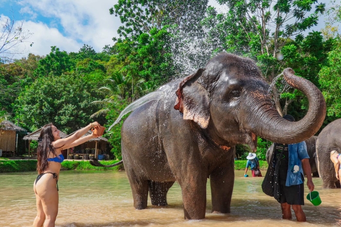 Solo female travel in Thailand: an unforgettable moment at the Green Elephant Sanctuary Park