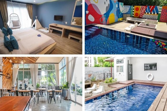 This hotel provides a comfortable setting where pets are welcome