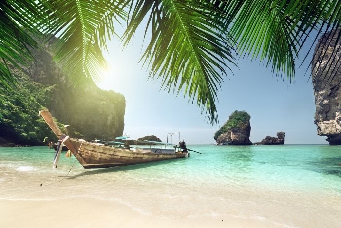 Balance exploration and rest to match your companion's needs throughout the trip