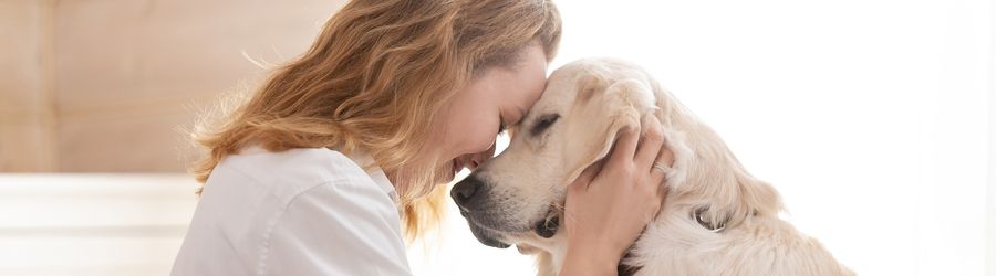 Explore Thailand without leaving your dog or cat behind thanks to pet-friendly accommodations