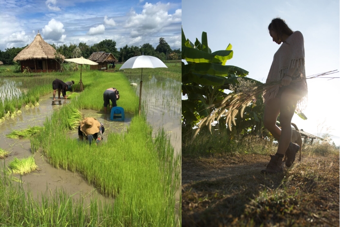 Picking fresh vegetables and learning traditional irrigation techniques