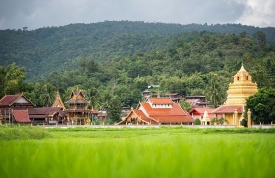 How Does Agritourism Impact Rural Thailand And Local Communities?