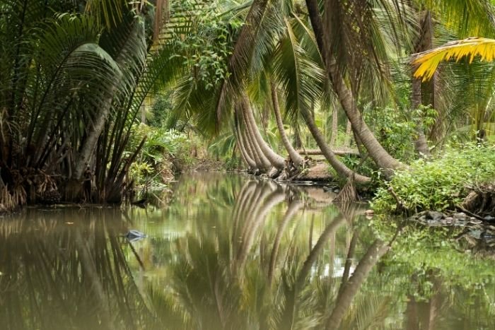 Explore the coconut palms and orchards of Samut Songkhram