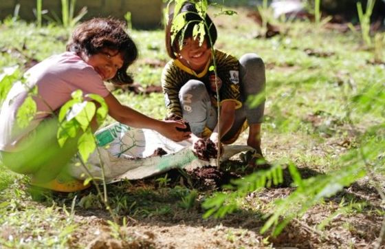 Best Farm Stays For Agritourism In Thailand