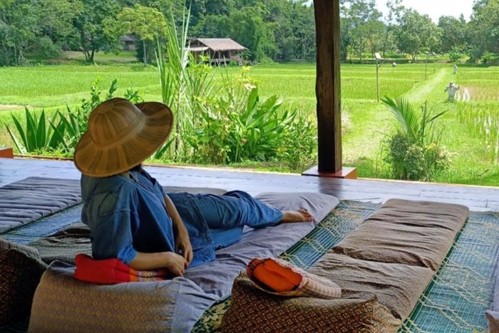 Best time for Thailand farm stays