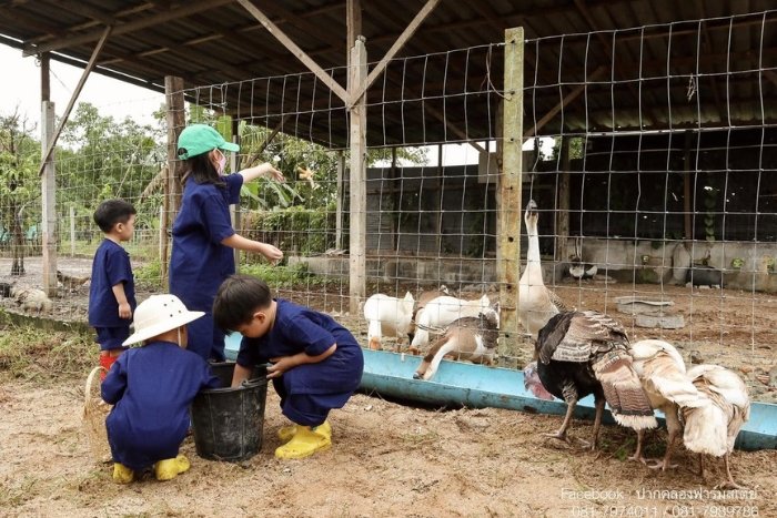 Pakkhlong Farmstay