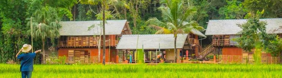 Agritourism in Thailand : a sustainable way of travelling