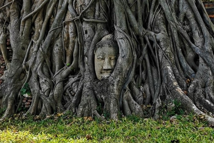 Wat Mahathat, a must-see during my 2-day trip to Ayutthaya