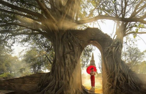 Wat Phra Ngam - Ancient Tree-root Archway Temple In Ayutthaya
