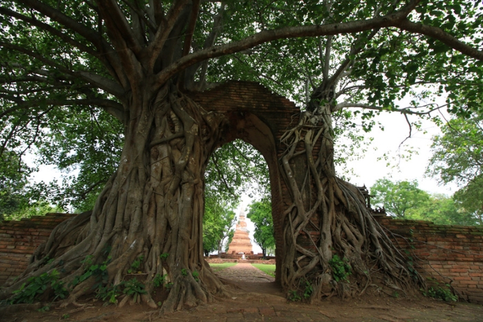 The Portal of Time at Wat Phra Ngam