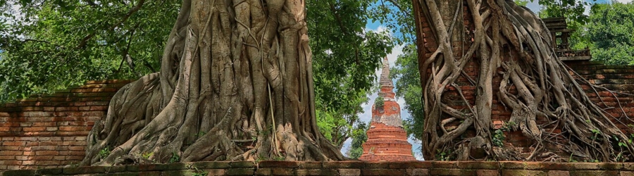 Wat Phra Ngam: the mysterious 