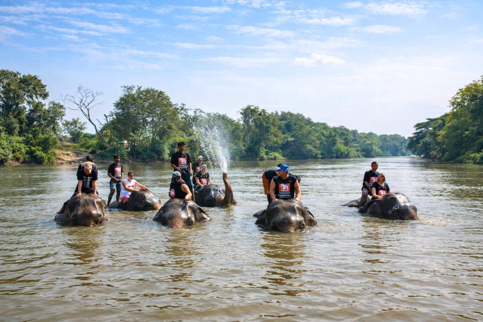 What to do in Ayutthaya during hot weather ? Bathing with elephants in the river