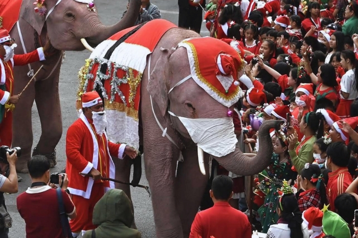 Elephant Festival - One of the Must-See Festivals and Events in Ayutthaya