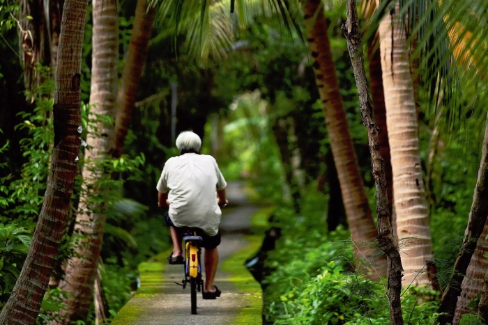 Bang Krachao – the green lung of Bangkok