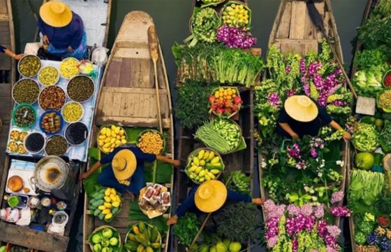 Opinion Of 7-day Trip To Bangkok And Chiang Mai Thailand By Mr. Silas