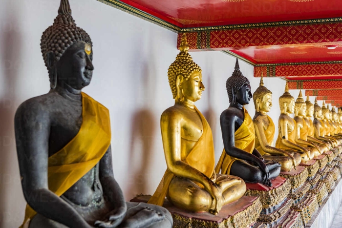 Buddha statue collection